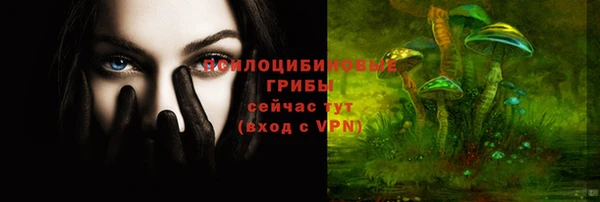 шишки Алзамай