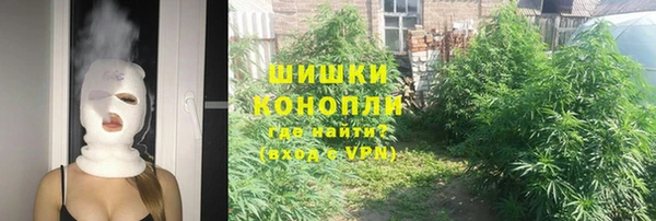 шишки Алзамай