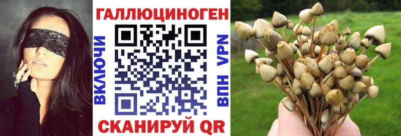 наркошоп  Нурлат  KRAKEN tor  Псилоцибиновые грибы Magic Shrooms 